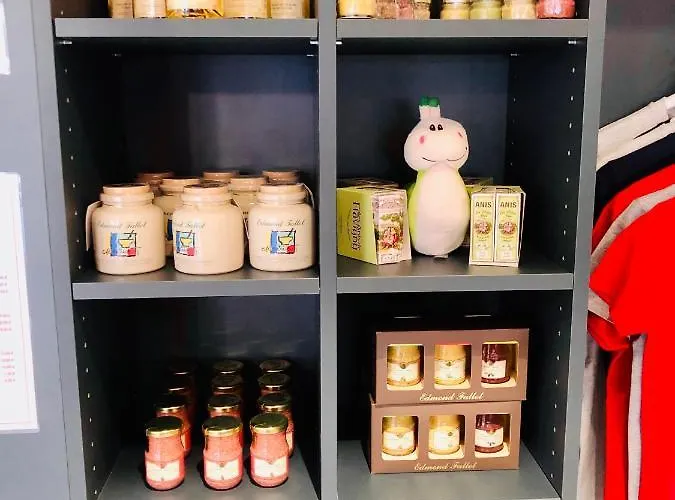 Ibis Centre فندق 3*