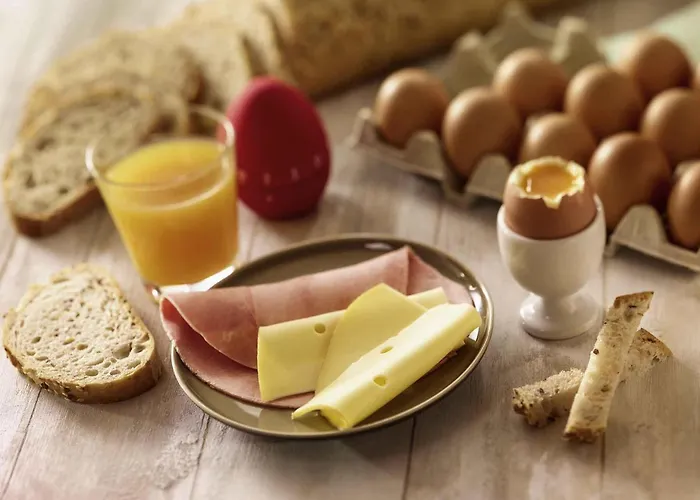 Ibis Centre فندق بون