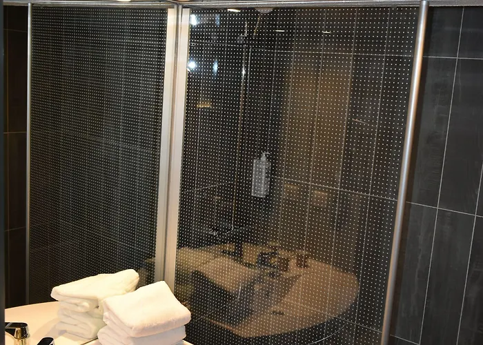 Ibis Centre فندق بون