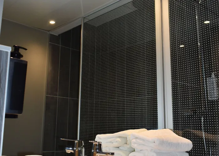 호텔 Ibis Centre 3*