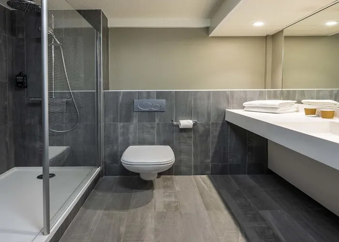 Ibis Centre Hotel 3*